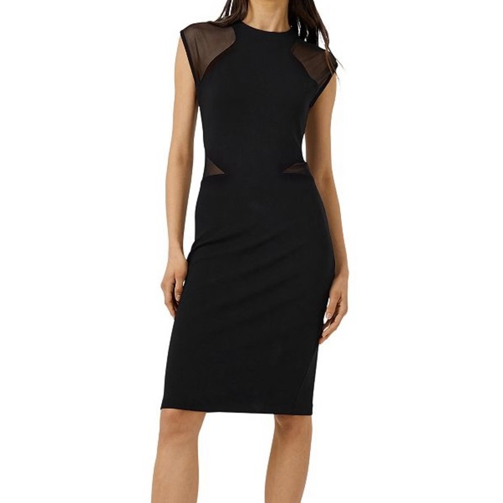 French Connection Viven Sheer Paneled Dress